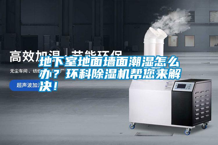 地下室地面墻面潮濕怎么辦？環科除濕機幫您來解決！