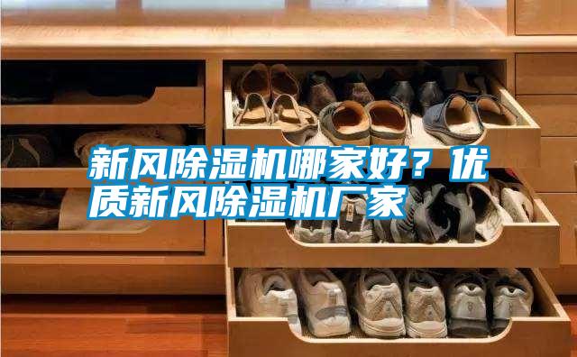 新風(fēng)除濕機(jī)哪家好？?jī)?yōu)質(zhì)新風(fēng)除濕機(jī)廠(chǎng)家