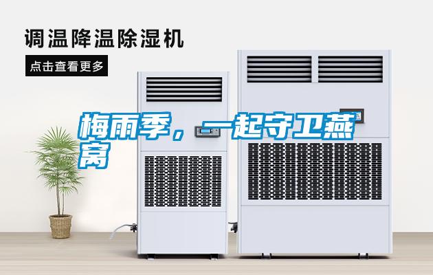 梅雨季，一起守衛燕窩