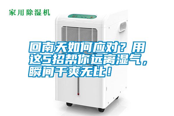 回南天如何應(yīng)對(duì)？用這5招幫你遠(yuǎn)離濕氣，瞬間干爽無(wú)比！
