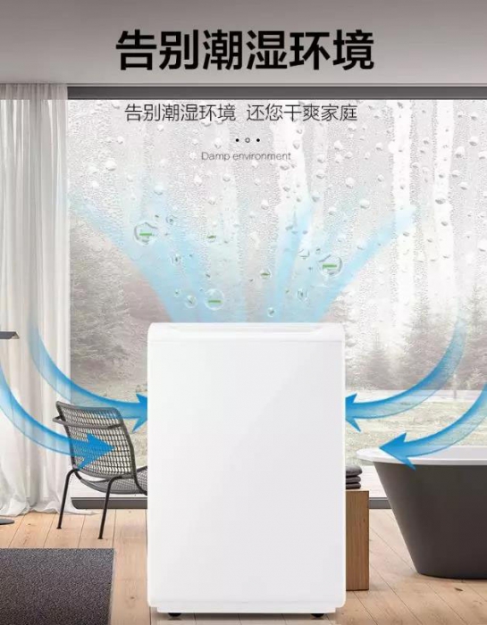 南方進入回南天，多肉植物這樣養才不會有事！