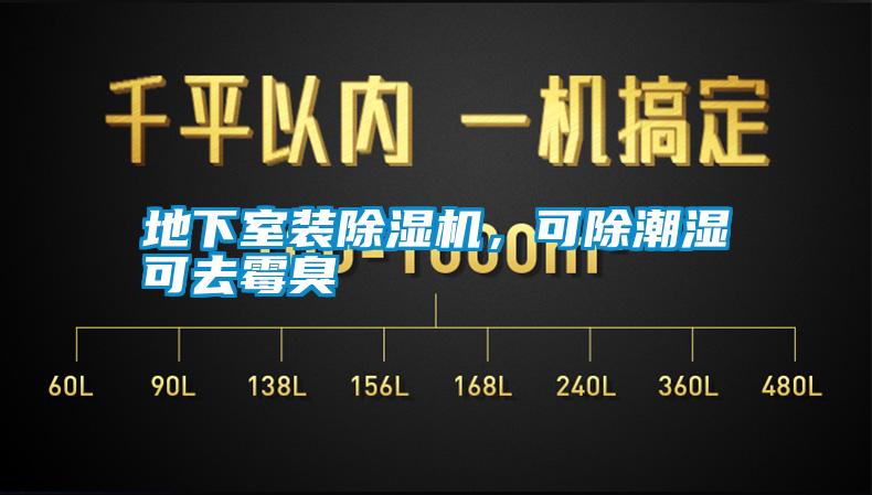 地下室裝除濕機,可除潮濕可去霉臭