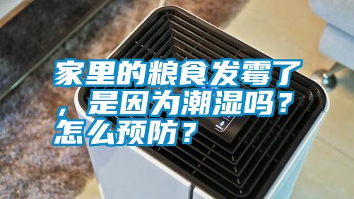 家里的糧食發(fā)霉了，是因?yàn)槌睗駟幔吭趺搭A(yù)防？
