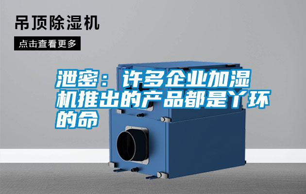 泄密:許多企業(yè)加濕機(jī)推出的產(chǎn)品都是丫環(huán)的命