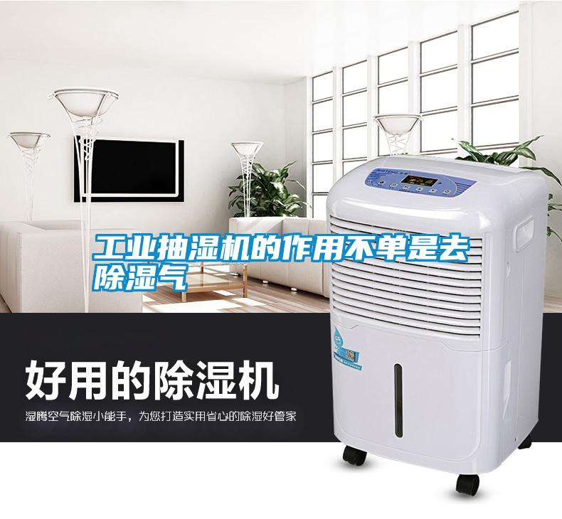 工業抽濕機的作用不單是去除濕氣