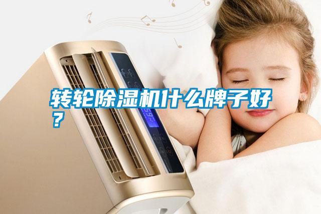 轉(zhuǎn)輪除濕機(jī)什么牌子好？