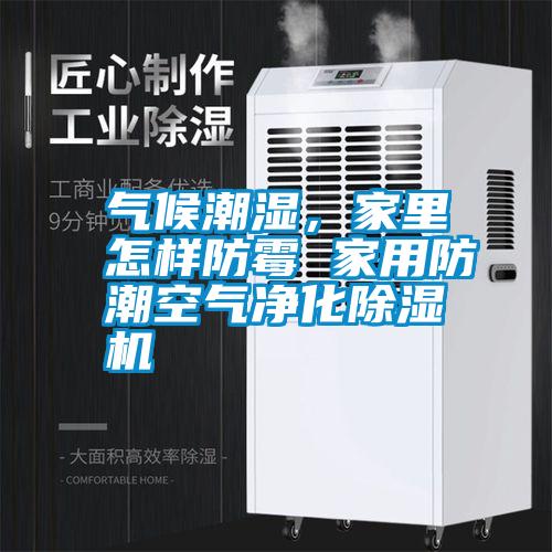 氣候潮濕，家里怎樣防霉 家用防潮空氣凈化除濕機