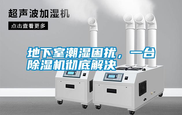 地下室潮濕困擾，一臺除濕機(jī)徹底解決
