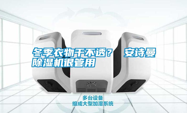 冬季衣物干不透？ 安詩曼除濕機很管用