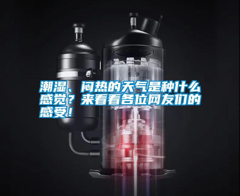 潮濕、悶熱的天氣是種什么感覺？來看看各位網(wǎng)友們的感受！