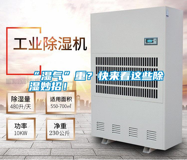 “濕氣”重？快來看這些除濕妙招！