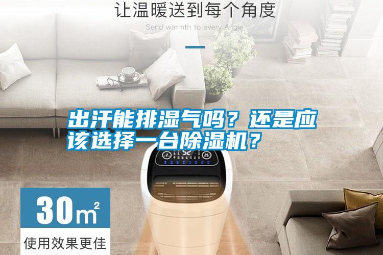出汗能排濕氣嗎？還是應(yīng)該選擇一臺(tái)除濕機(jī)？
