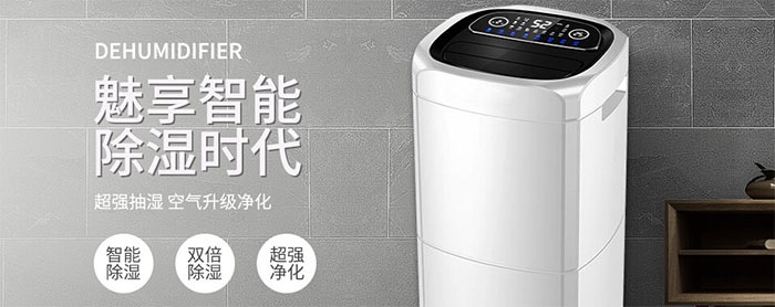 梅雨季怎么避免貓咪因潮濕而感染貓癬？