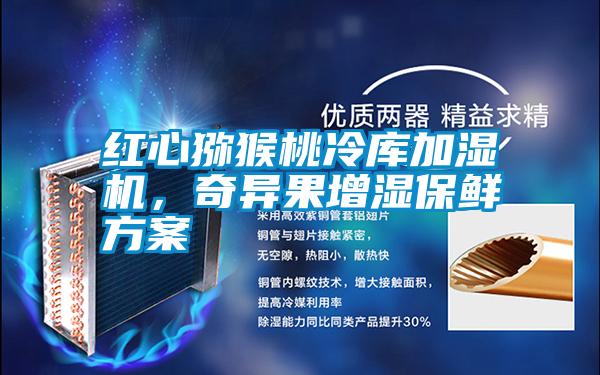 紅心獼猴桃冷庫加濕機，奇異果增濕保鮮方案