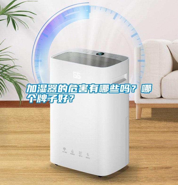 加濕器的危害有哪些嗎？哪個牌子好？