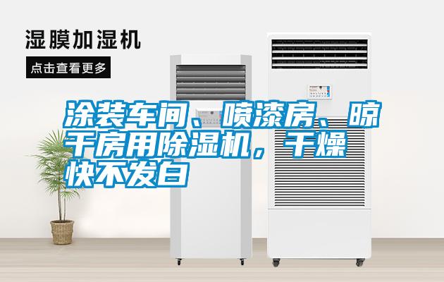 涂裝車間、噴漆房、晾干房用除濕機，干燥快不發白