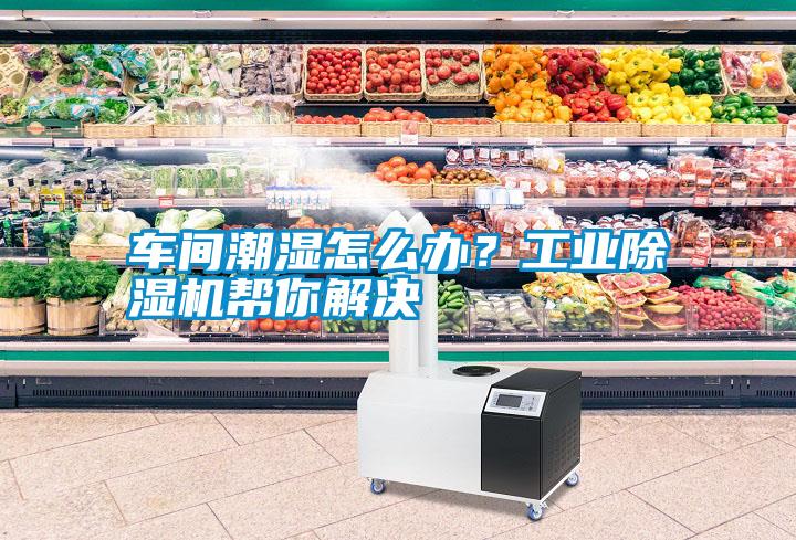 車間潮濕怎么辦？工業除濕機幫你解決