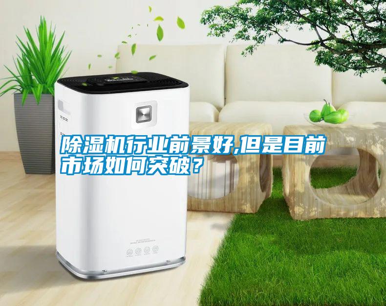 除濕機(jī)行業(yè)前景好,但是目前市場如何突破？