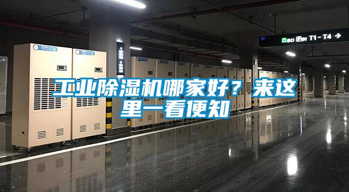 工業除濕機哪家好？來這里一看便知