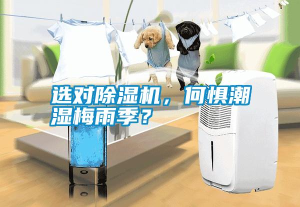 選對除濕機，何懼潮濕梅雨季？