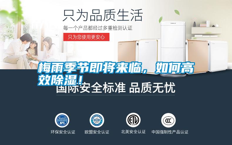 梅雨季節(jié)即將來臨，如何高效除濕！