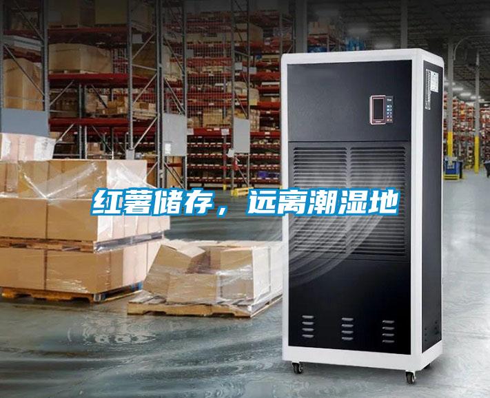 紅薯儲存,遠(yuǎn)離潮濕地