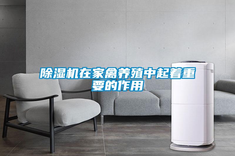 除濕機在家禽養殖中起著重要的作用