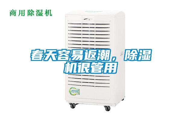 春天容易返潮，除濕機很管用