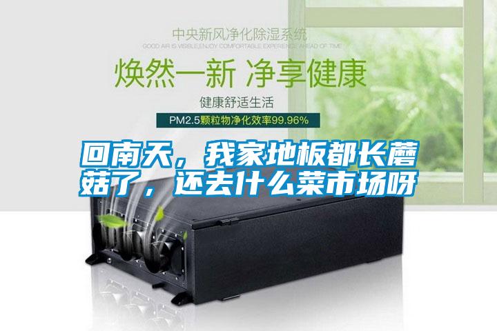 回南天，我家地板都長(zhǎng)蘑菇了，還去什么菜市場(chǎng)呀
