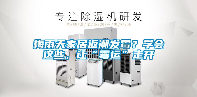 梅雨天家居返潮發(fā)霉？學(xué)會(huì)這些，讓“霉運(yùn)”走開