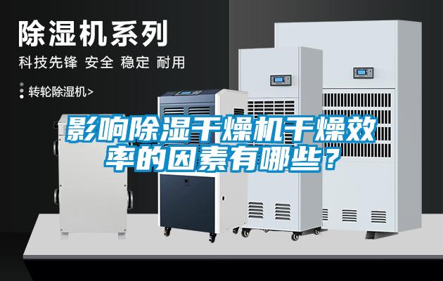影響除濕干燥機干燥效率的因素有哪些？