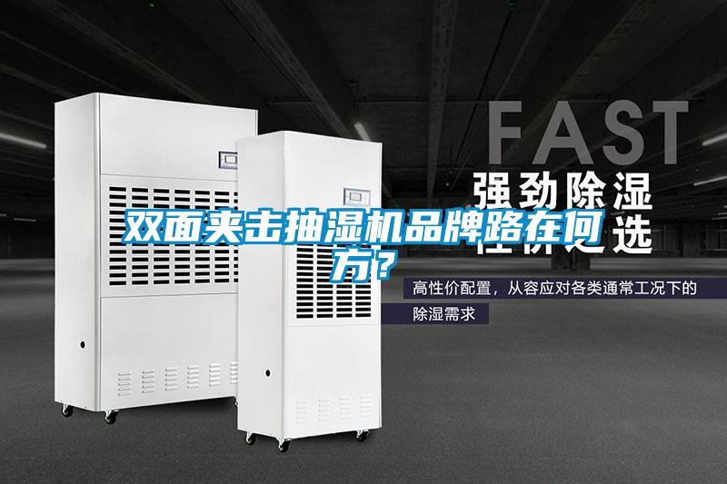 雙面夾擊抽濕機(jī)品牌路在何方？