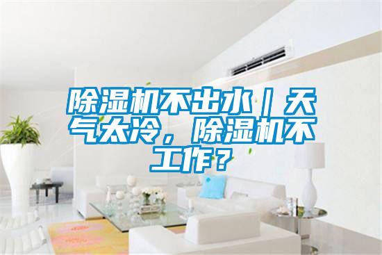 除濕機(jī)不出水｜天氣太冷，除濕機(jī)不工作？