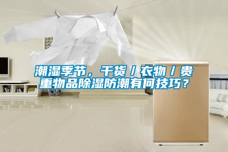 潮濕季節(jié)，干貨／衣物／貴重物品除濕防潮有何技巧？