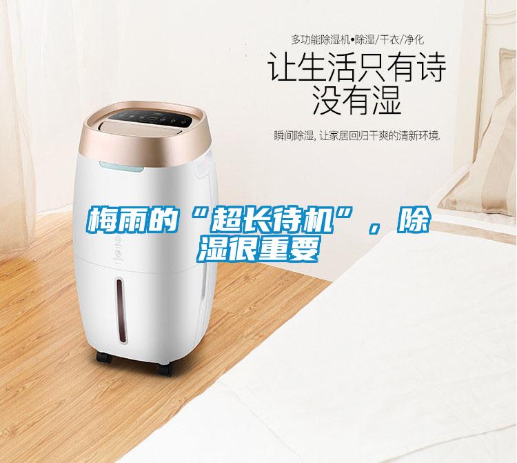 梅雨的“超長待機”，除濕很重要