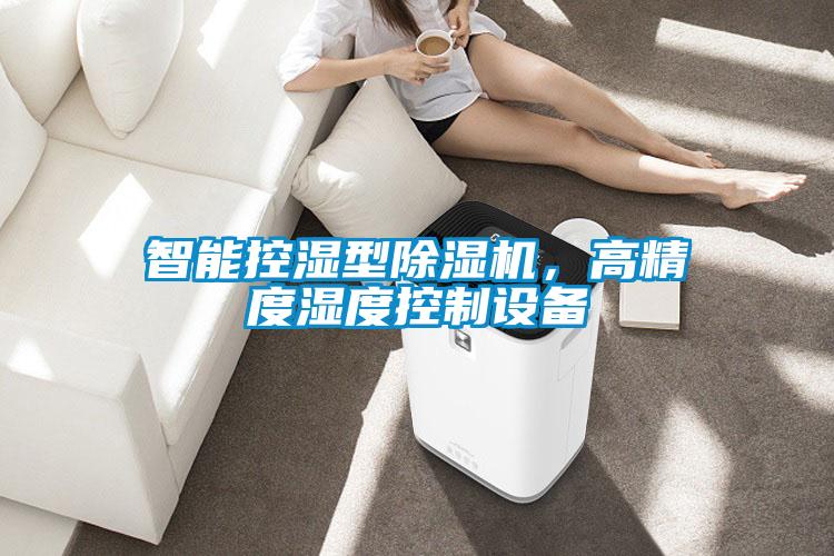 智能控濕型除濕機,高精度濕度控制設(shè)備
