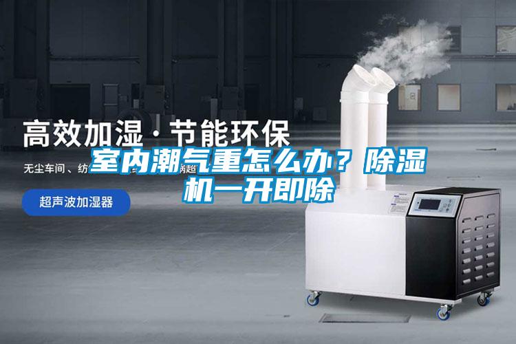 室內潮氣重怎么辦？除濕機一開即除