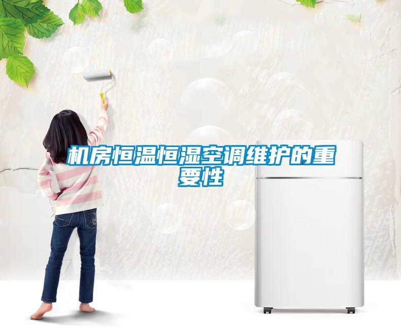機房恒溫恒濕空調維護的重要性