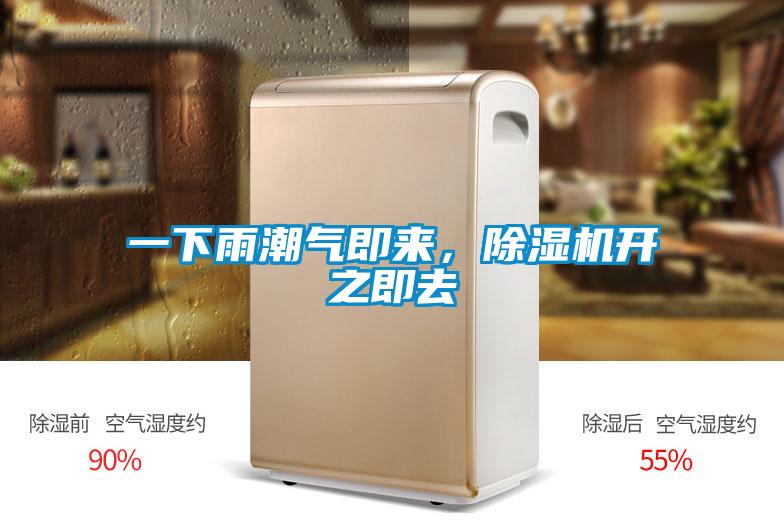 一下雨潮氣即來，除濕機開之即去
