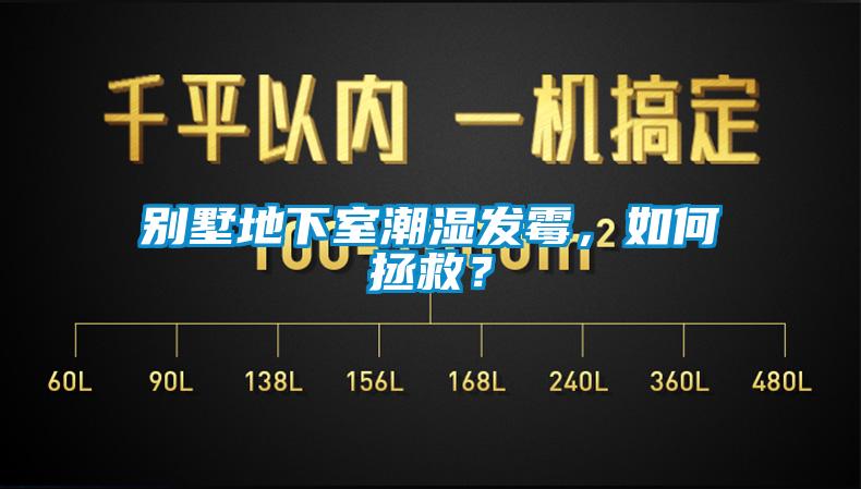 別墅地下室潮濕發霉，如何拯救？
