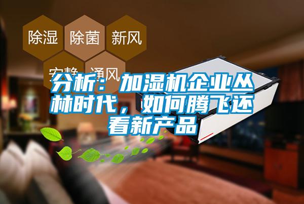 分析：加濕機(jī)企業(yè)叢林時代，如何騰飛還看新產(chǎn)品