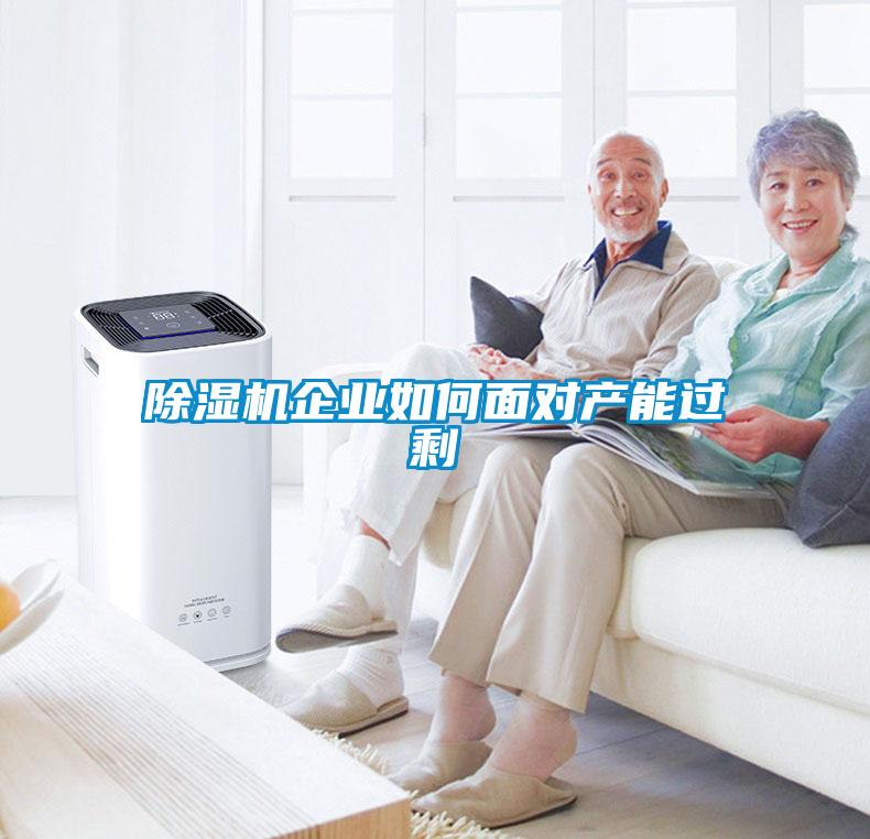除濕機企業如何面對產能過剩