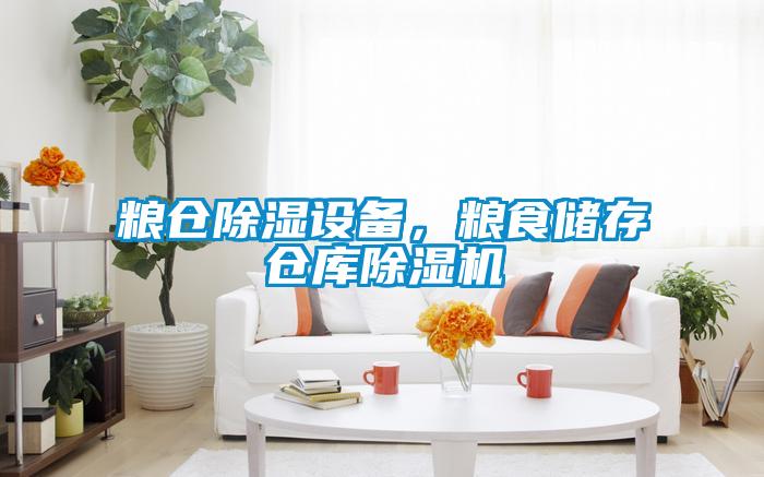 糧倉除濕設(shè)備,糧食儲存?zhèn)}庫除濕機
