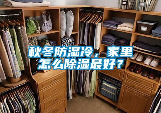 秋冬防濕冷，家里怎么除濕最好？