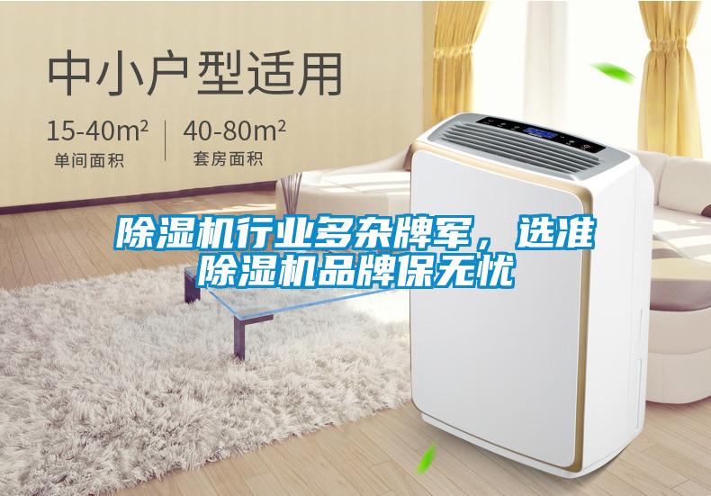 除濕機行業多雜牌軍，選準除濕機品牌保無憂