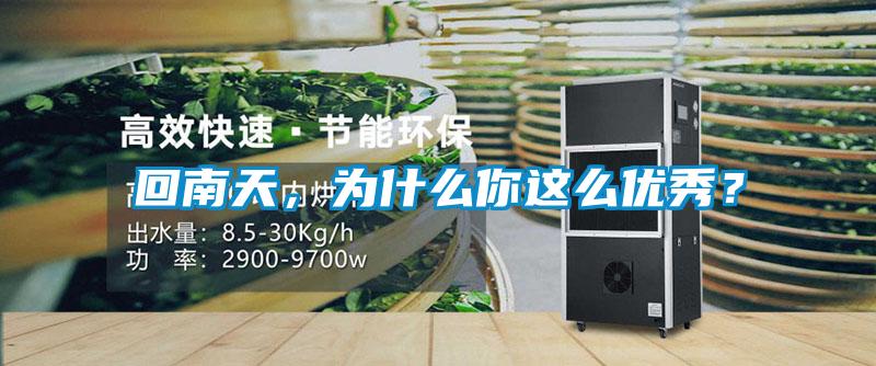回南天，為什么你這么優秀？