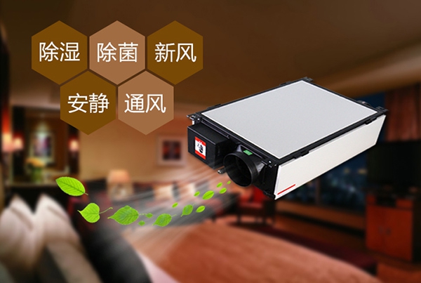 防范豬仔大腸桿菌病，用過氧化氫低溫滅菌器