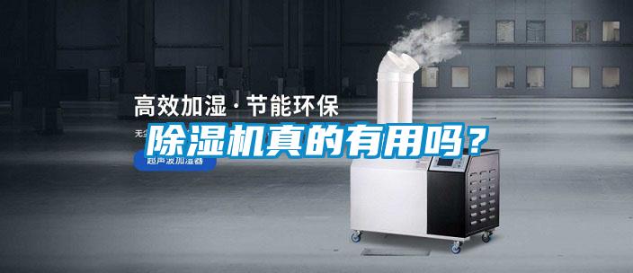 除濕機真的有用嗎？
