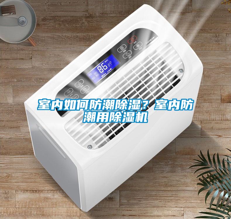 室內如何防潮除濕？室內防潮用除濕機