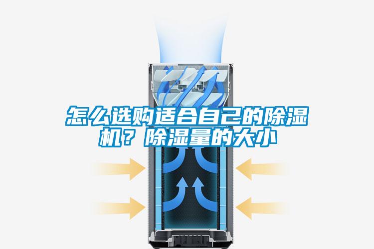 怎么選購適合自己的除濕機(jī)？除濕量的大小